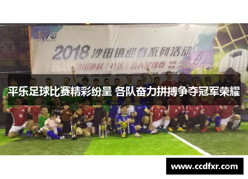 平乐足球比赛精彩纷呈 各队奋力拼搏争夺冠军荣耀